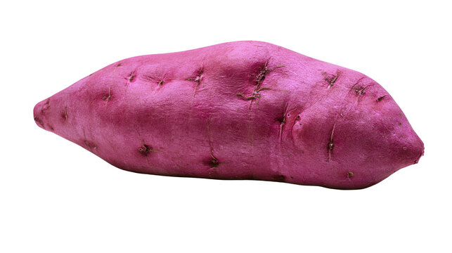 Vibrant purple sweet potato with visible root eyes, isolated on transparent background