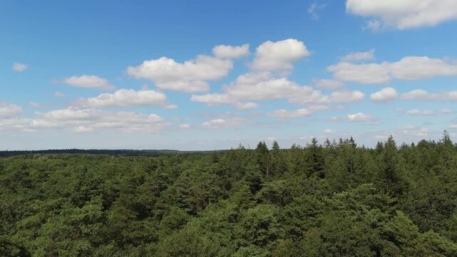 High Angle Drone View of Dirt Trail in Veluwe Wilderness