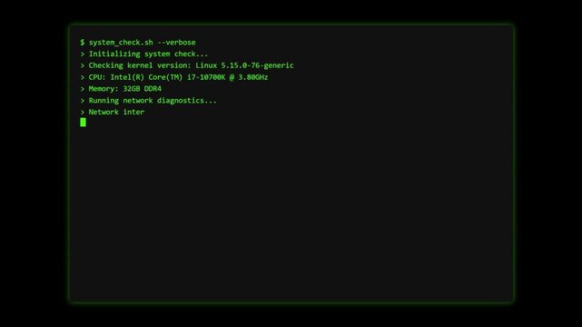 Cyber Security Breach Terminal Animation Hacker Attack System Check Warning Screen Data Hack Intrusion Detected Alarm Command Line Interface