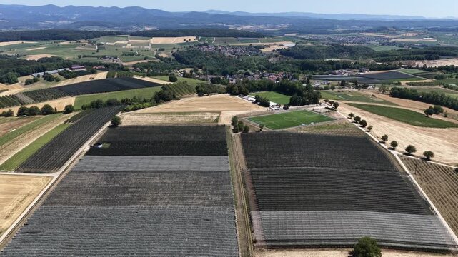 Aerial view of agricultural fields with protective netting and lush green crops in the rural landscape of Kembs, Grand Est, France.