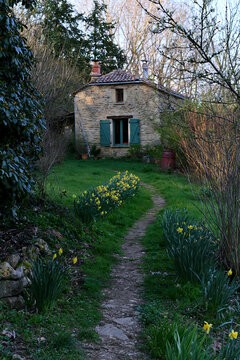 Countryside house in spring with a path and blooming flowers