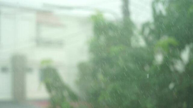 Heavy Rain and Wind: A blurry image capturing a powerful rainstorm, with water droplets and strong winds lashing against lush green foliage and a distant building.