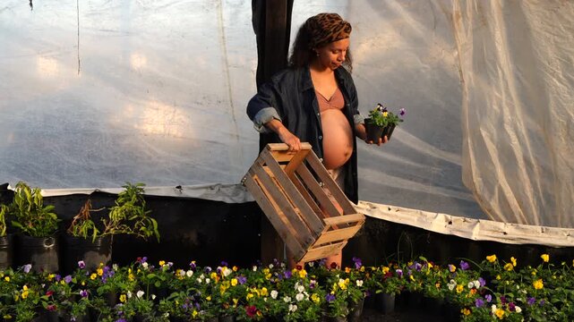 Pregnant Black woman carrying wooden crate of potted plants in greenhouse nursery