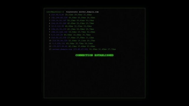 Command Line Interface Showing Traceroute Network Diagnostics Server Domain IP Address Ping Response Latency Milliseconds Text Command Connection Established Status Screen Concept Animation