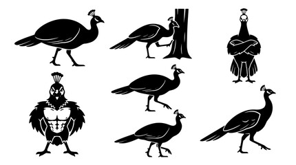 Obraz premium Set of black peacock silhouettes in various poses including walking and standing for creative design projects and wildlife graphic elements isolated on transparent background