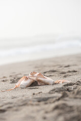 Ballet shoes resting on sandy beach shore with gentle ocean waves in the background, creating a serene coastal scene for artistic expression and dance inspiration © Nadezda Ledyaeva