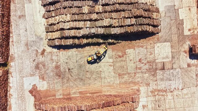 Machinery moves around a wood processing site where large stacks of logs are stored. The ground is covered with broken soil and machinery tracks. It is daytime.