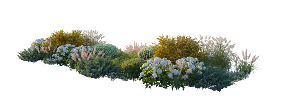 Garden landscape composition with blooming hydrangea bushes, ornamental pampas grass, and autumn-colored shrubs, isolated on transparent background