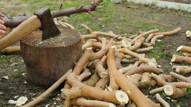 Chopping tree branches with axe on wooden stump in yard