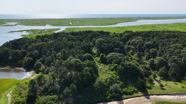 An extensive salt marsh is seen from a bird's eye view in Pleasant Bay, Cape Cod. Marshes provide critical habitat for many birds, fish, and marine invertebrates to feed, mate, and nest.