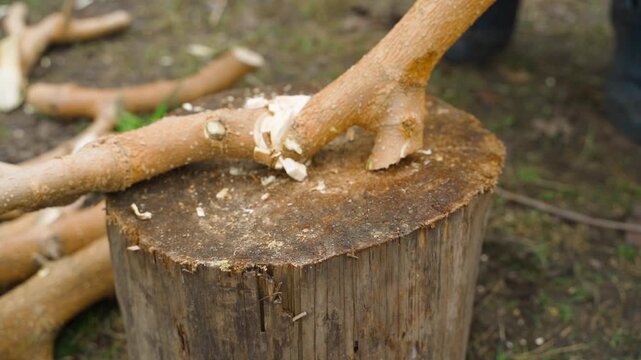 Chopping tree branches with axe on wooden stump in yard