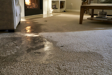 Obraz premium Carpet in the living room near the fireplace is soaked with water