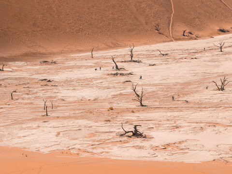 Aerial midday view of Deadvlei in Sossusvlei, Namibia, with hikers on a cracked white pan, blackened camelthorn trees, and apricot orange dunes with a faint footpath.