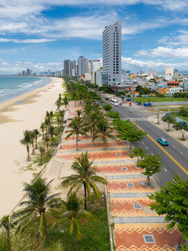 Palm trees and paving along a city waterfront esplanade and beach