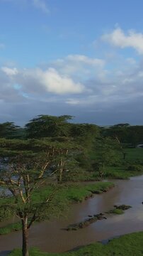 Aerial view of Ewaso Narok River flowing through the savanna landscape with acacia trees under a cloudy blue sky in Rumuruti, Laikipia County, Kenya.