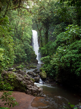 A lush tropical waterfall surrounded by dense rainforest in La Paz Waterfall Gardens near San Jos&eacute;, Costa Rica. Moss-covered trees, volcanic rocks and rich vegetation frame the cascading water.