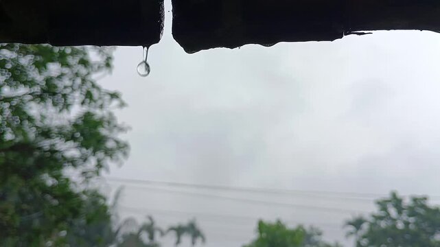 Macro shot of water droplet dripping from roof edge on an overcast rainy day