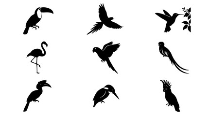 Fototapeta premium Collection of black silhouette birds in various flying and perching poses