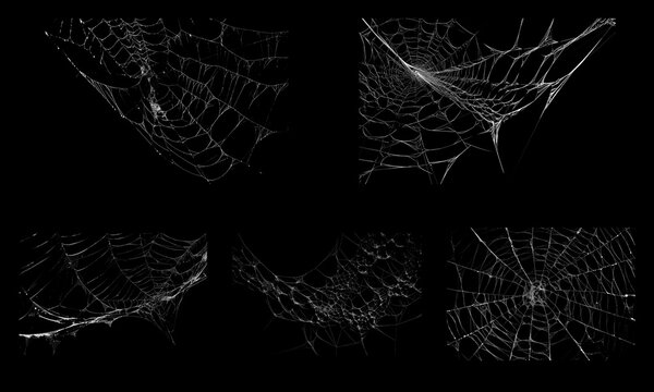 Spooky spiderweb collection on black background, creepy cobweb textures for Halloween design, realistic spider web elements set