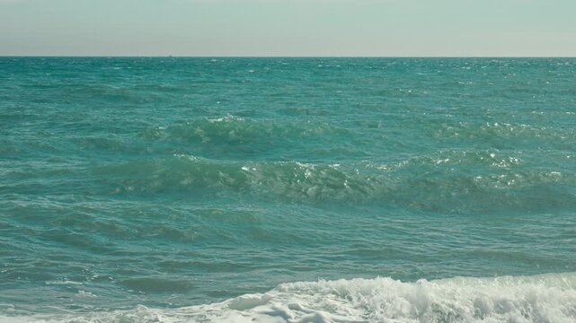 Water Bird Drifting on Rolling Ocean Waves