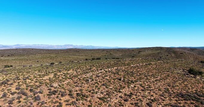 Drone panorama of springbok in the Great Karoo near Prince Albert, South Africa. Rolling hills, rocky terrain, and distant mountains showcase this vast semi-arid wildlife landscape.