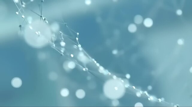 Close-up of soap bubbles floating in air with light reflection.
