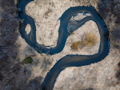 Aerial top down perspective of a sharply winding s-curve river meandering through a dense bare winter forest landscape, showcasing geological water channels from a drone.