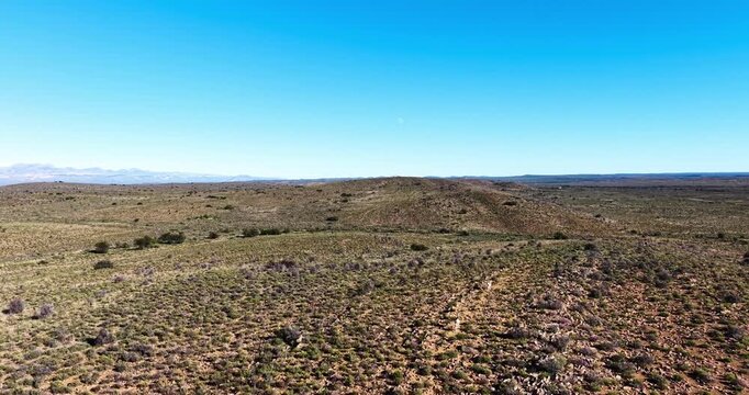 Aerial of springbuckk roaming the rugged semi-arid plains of the Great Karoo. The distant mountain ranges highlight the vast scale, untouched beauty and unique biodiversity of this iconic South Africa
