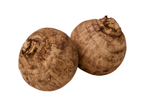 Collection set of taro roots isolated on transparent or white background, png