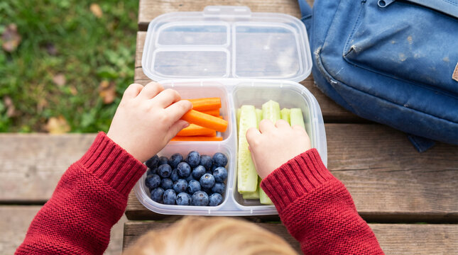 Child eating healthy snacks from a lunch box on a wooden bench