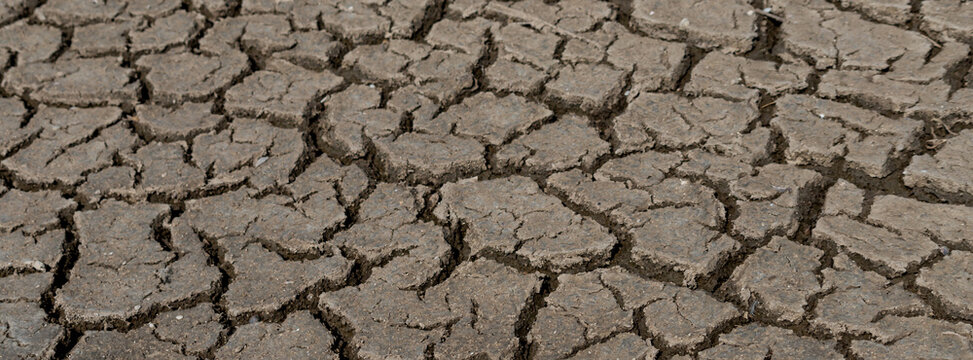 Cracked Earth surface depicting drought and arid natural conditions