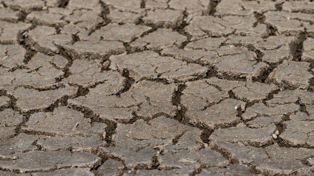 Cracked Earth surface depicting drought and arid natural conditions