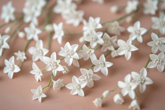 Delicate white flowers scattered on a soft pink background, creating a gentle pastel floral composition with a romantic and elegant feel.