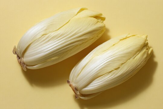 Two fresh white endive heads on a soft yellow background with simple studio lighting and shadow, clean food still life