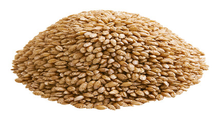 Obraz premium Heap of whole spelt grains, isolated on transparent background