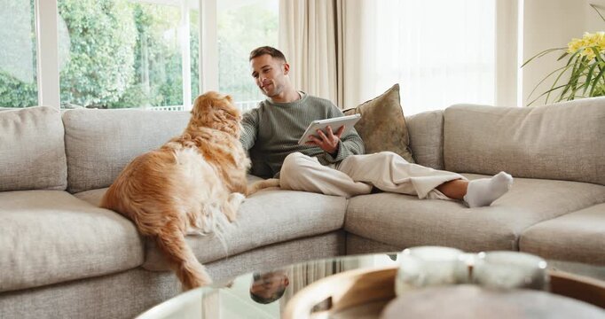 Tablet, relax and man with dog on sofa in home for research on pet adoption, foster care or wellness. Happy, digital technology and person reading blog on app for animal health in house with puppy.