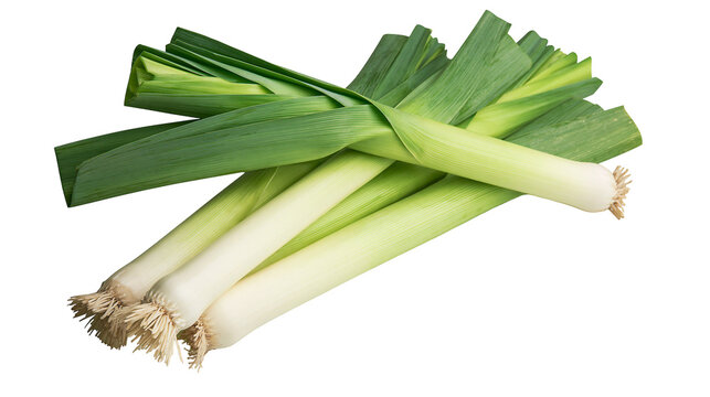 Bundle of fresh leeks with green leaves and white stalks, isolated on transparent background
