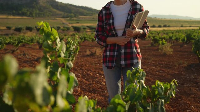 Female farmer use tablet while inspect crops during field visit. Digital agriculture, crop monitoring, smart farming, sustainable food production, farm management and agricultural innovation concept