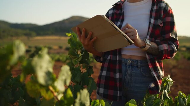 Female agricultural specialist inspecting crop conditions while recording field information to support environmentally responsible farming. Sustainability,  natural resource management concept