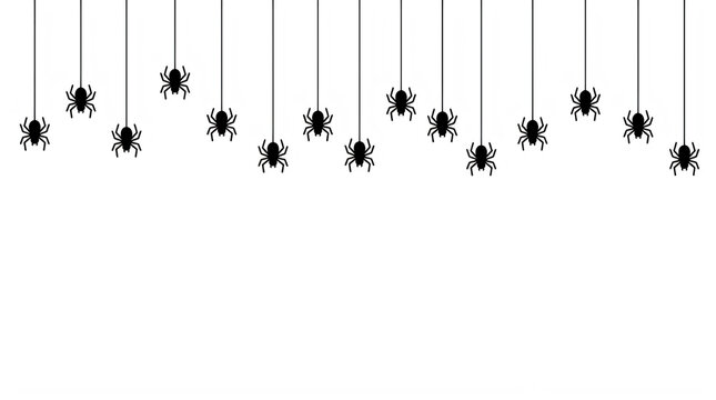A collection of many small black spiders hanging from thin silk threads isolated on transparent background