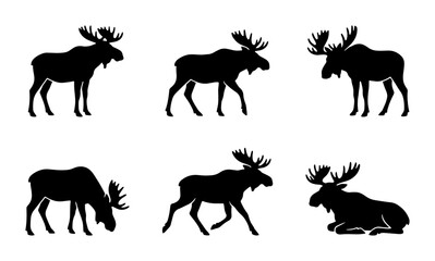 Obraz premium Moose Silhouettes Collection: Wildlife Icons, Forest Animals, Nature Vector Graphics, Hunting Symbols