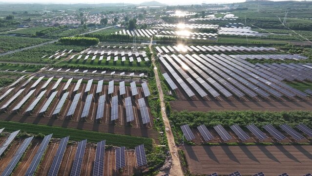 Aerial view of large scale photovoltaic power station integrated with farmland land use