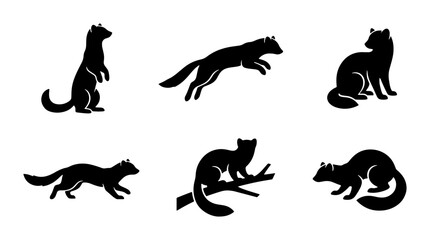 Obraz premium Set of Six Black Silhouette Vector Icons of Weasels and Ferrets in Various Poses, Wildlife Animal Graphics for Nature and Zoology Themes