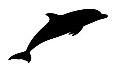 Silhouette of a jumping dolphin © ZamStock