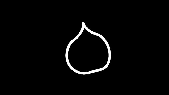 Simple white outline of a water drop or onion shape on a black background
