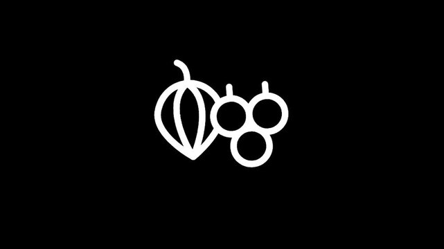 Simple white outline of a physalis fruit and three berries on a black background