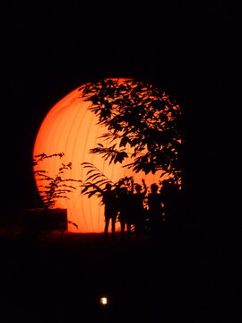 Lichtspiel