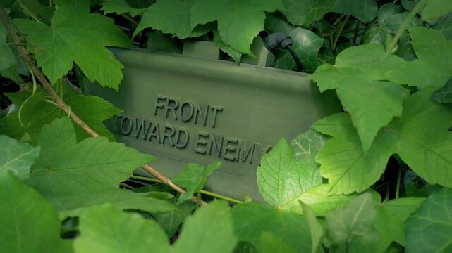 Claymore Mine Hidden In Foliage Military Explosive