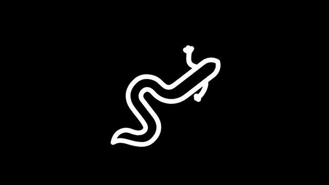 Simple white line drawing of a salamander on a black background
