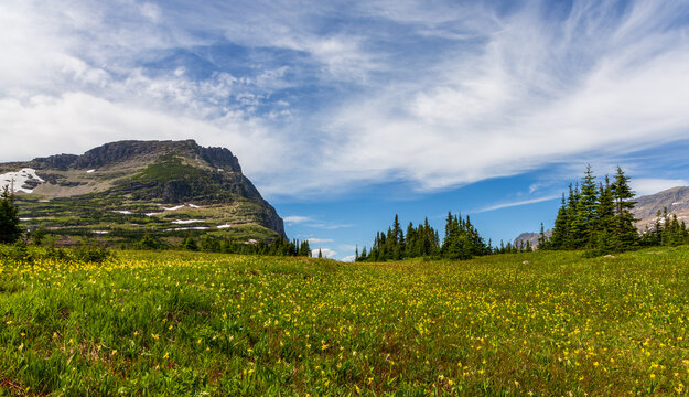 Glacier National Park in Montana. A scenic landscape with snowfields viewed from the Hidden Lake Overlook Trail on the Logan Pass 